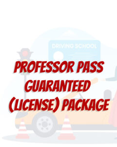 Professor Pass Guaranteed (LICENSE) Package